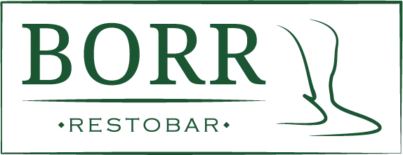 BORR logo